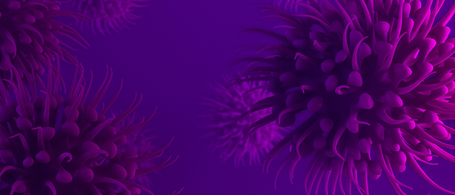 Image of a purple virus on a dark purple background