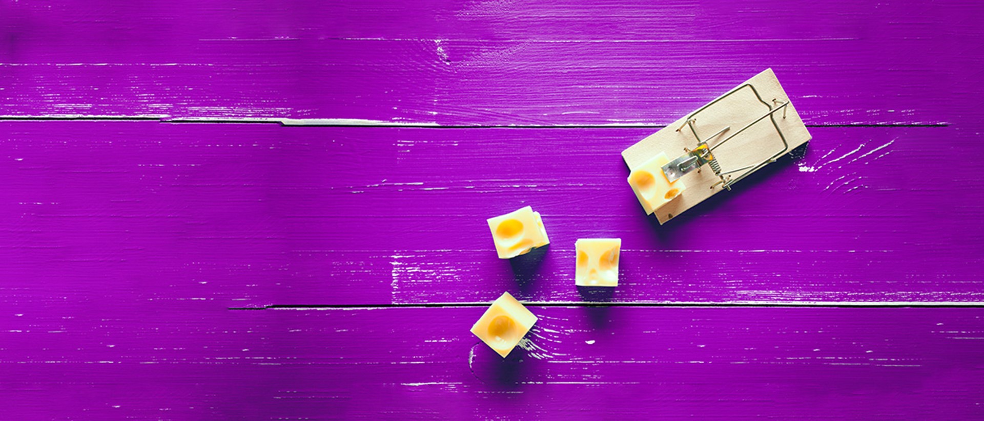 Image of a mousetrap with cheese on a purple background