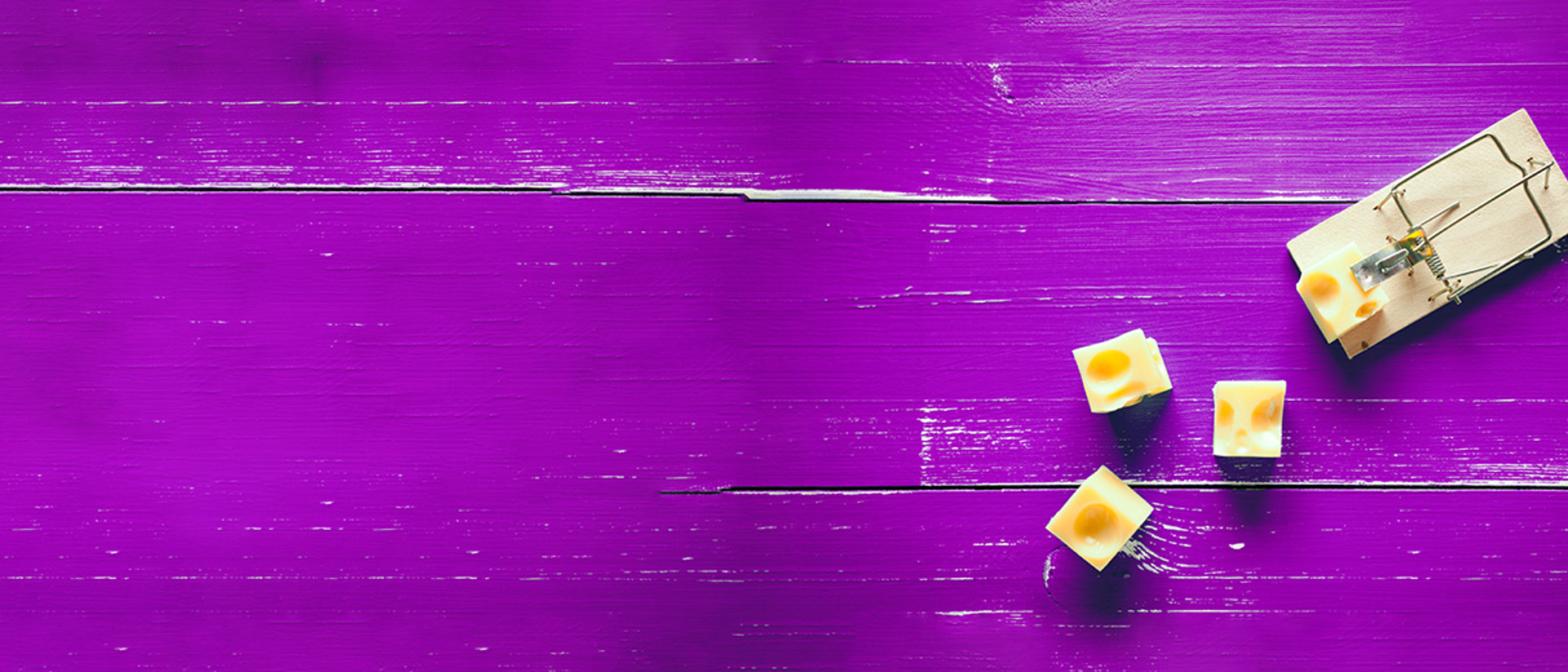 Image of a mousetrap with cheese on a purple background