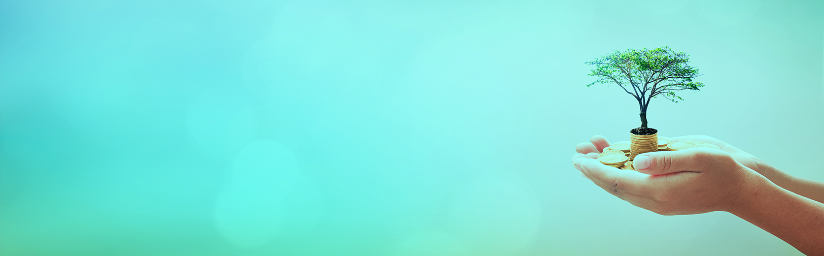 ESG 01 Teal