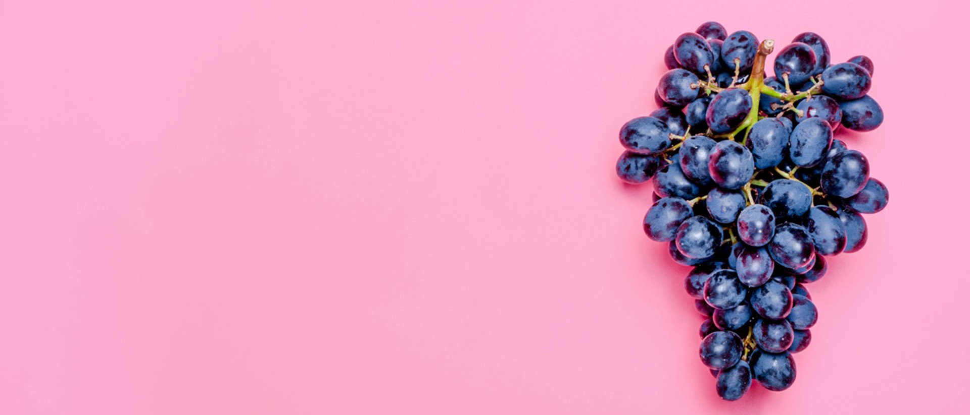 Image of black grapes against a pink background