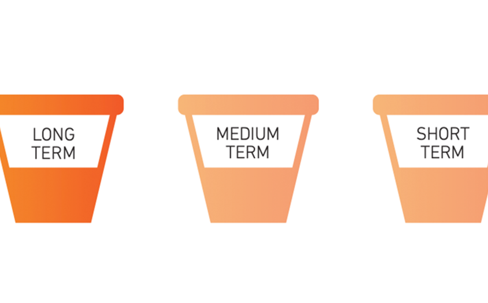 Image of 3 flower pots with long term, medium term and short term labelled on each