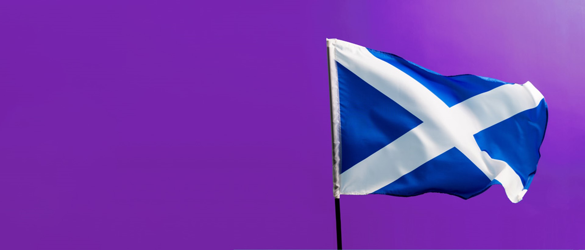 Image of the Scottish flag against a purple background