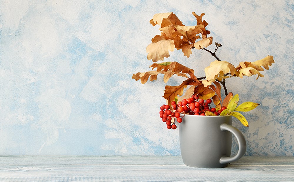 Hero image for Edition 6 of InBrief, showing autumn coloured plants in a mug