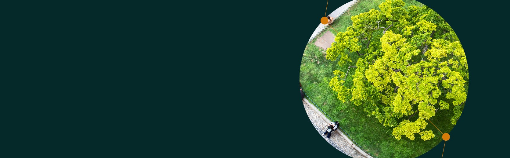 Spring Statement 2026