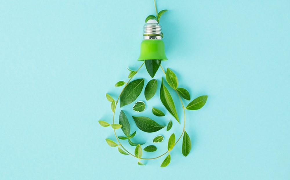 A group of green leaves forming the shape of a lightbulb against a turquoise background