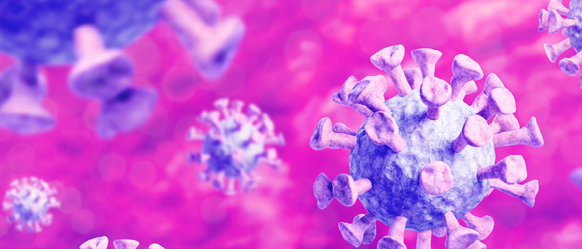 Image of purple viruses on a pink background