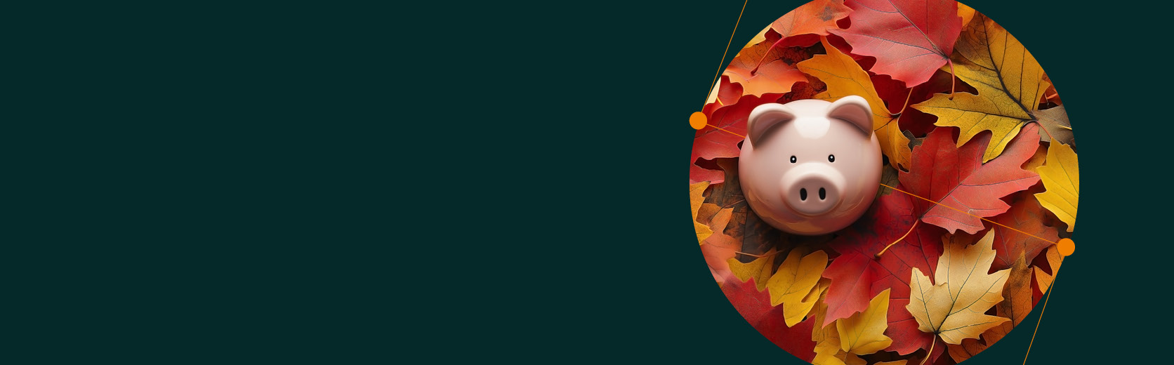 Autumn Budget Article