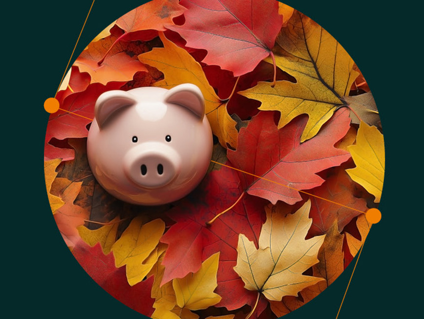 Autumn Budget Article