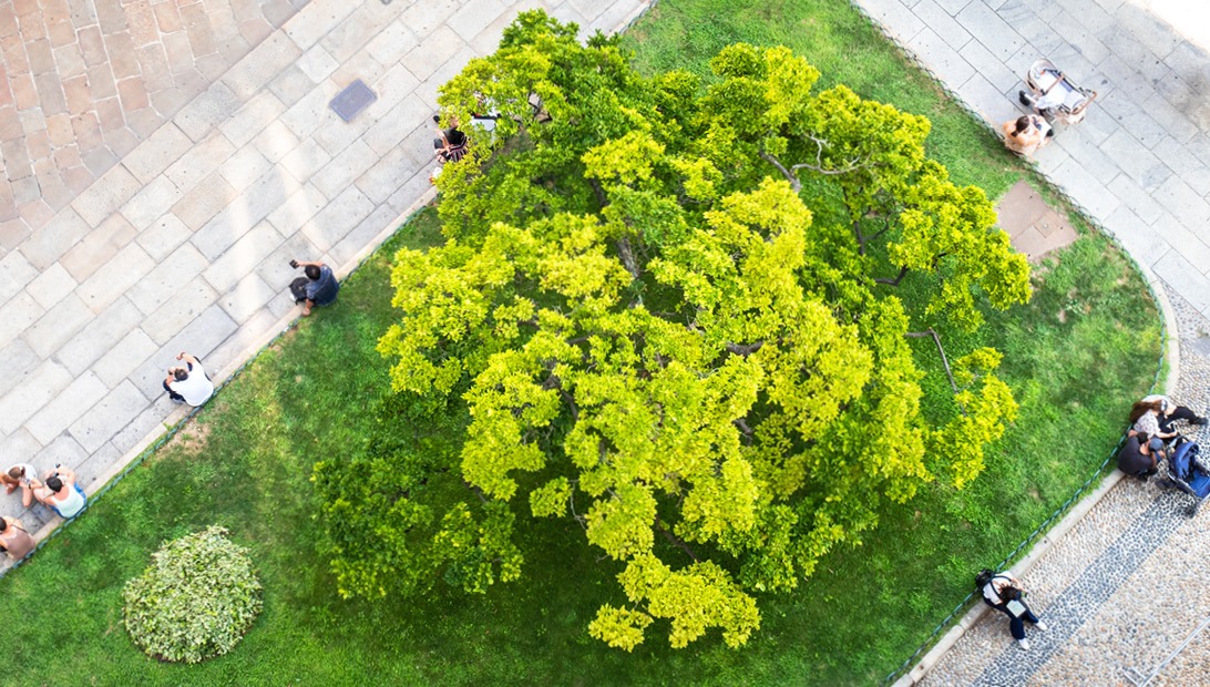 Spring Statement 2026