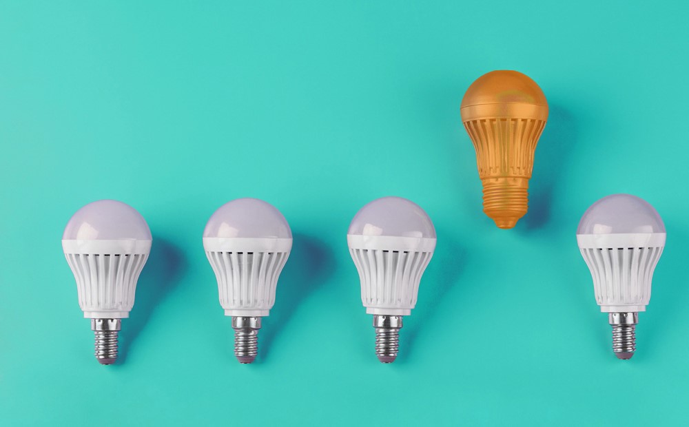 Image of sustainable lightbulbs on a teal background