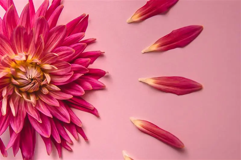 Menopause
