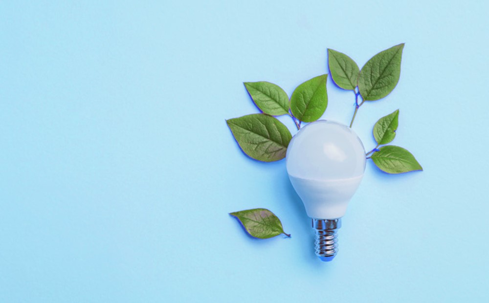 Image of a lightbulb with leaves surrounding it against a light blue background