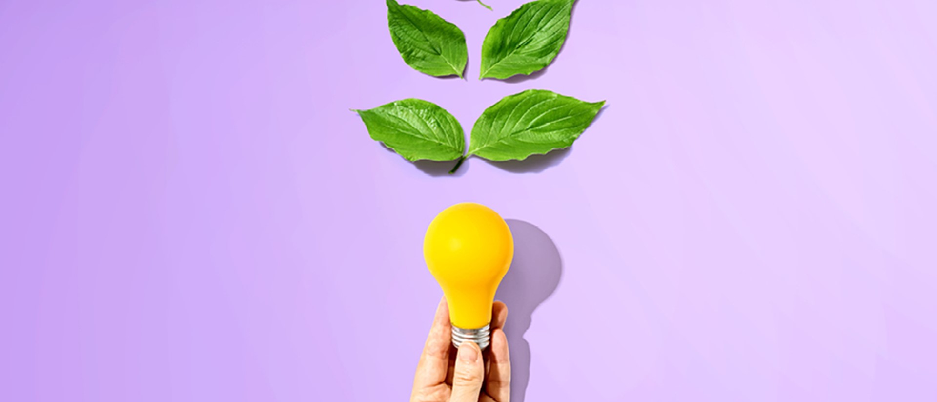Image of a yellow lightbulb with green leaves above on a purple background