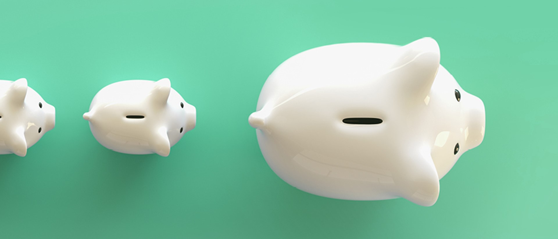Image of piggy banks on a teal background