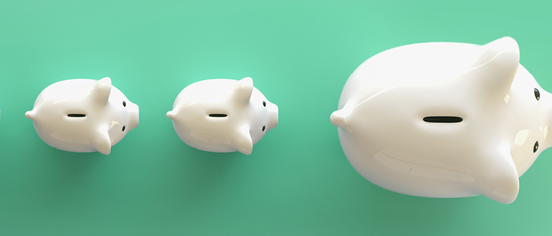 Image of piggy banks on a teal background