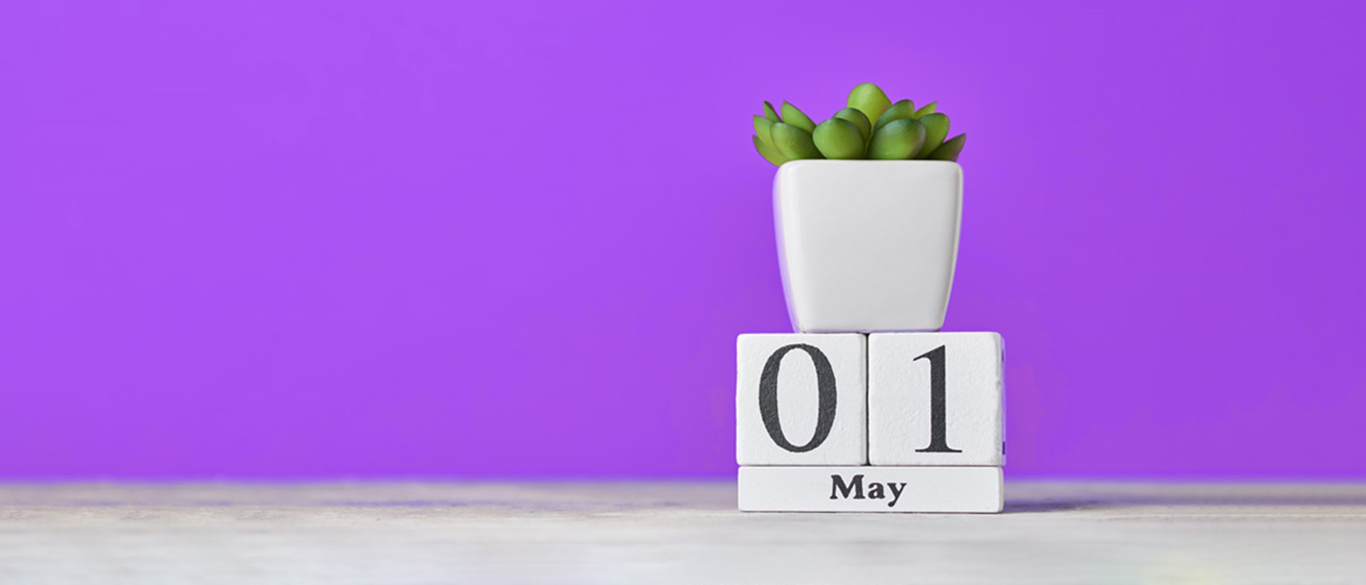 Image of a plant pot on top of tiles that show 01 May on a purple background
