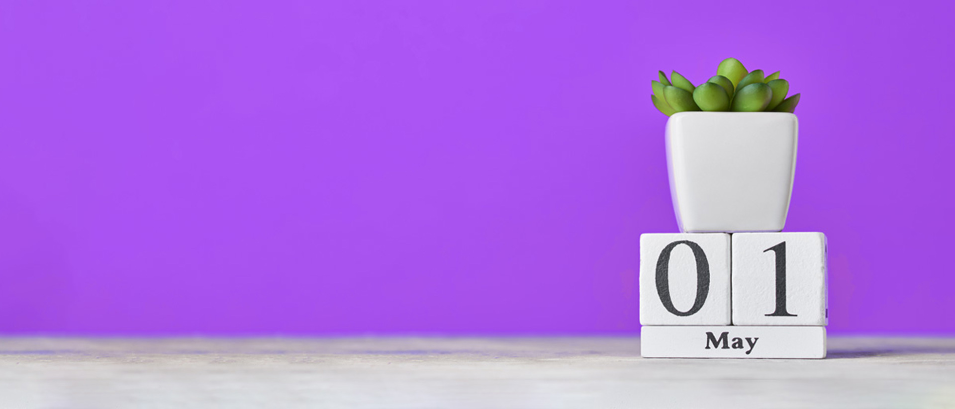 Image of a plant pot on top of tiles that show 01 May on a purple background