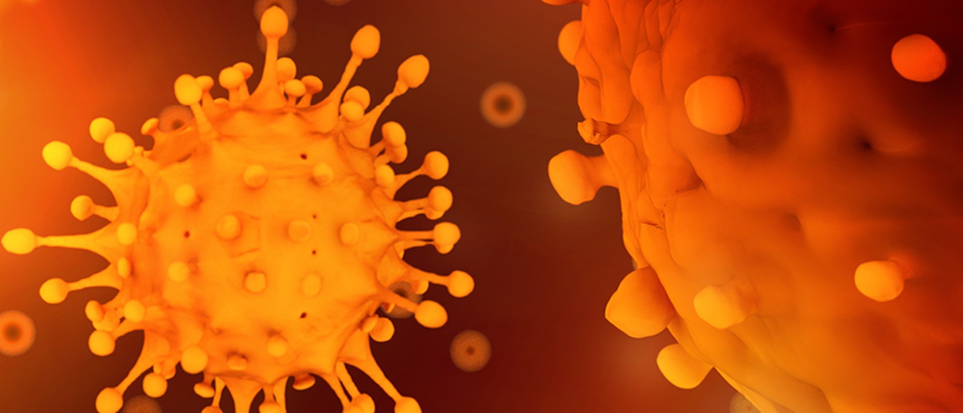 Image of orange viruses on a dark orange background