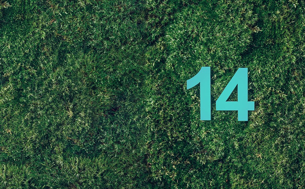 Image of a teal coloured number 14 laying on green grass